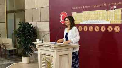 DEM Parti Grup Başkanvekili Gülistan Kılıç Koçyiğit, Türkiye Büyük Millet