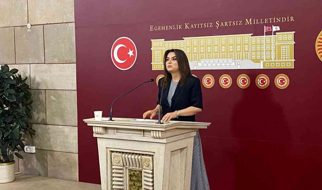 DEM Parti Grup Başkanvekili Gülistan Kılıç Koçyiğit, TBMM’de kurulması planlanan