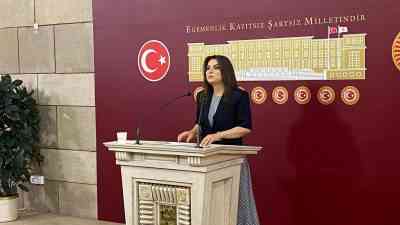 DEM Parti Grup Başkanvekili Gülistan Kılıç Koçyiğit, TBMM’de kurulması planlanan