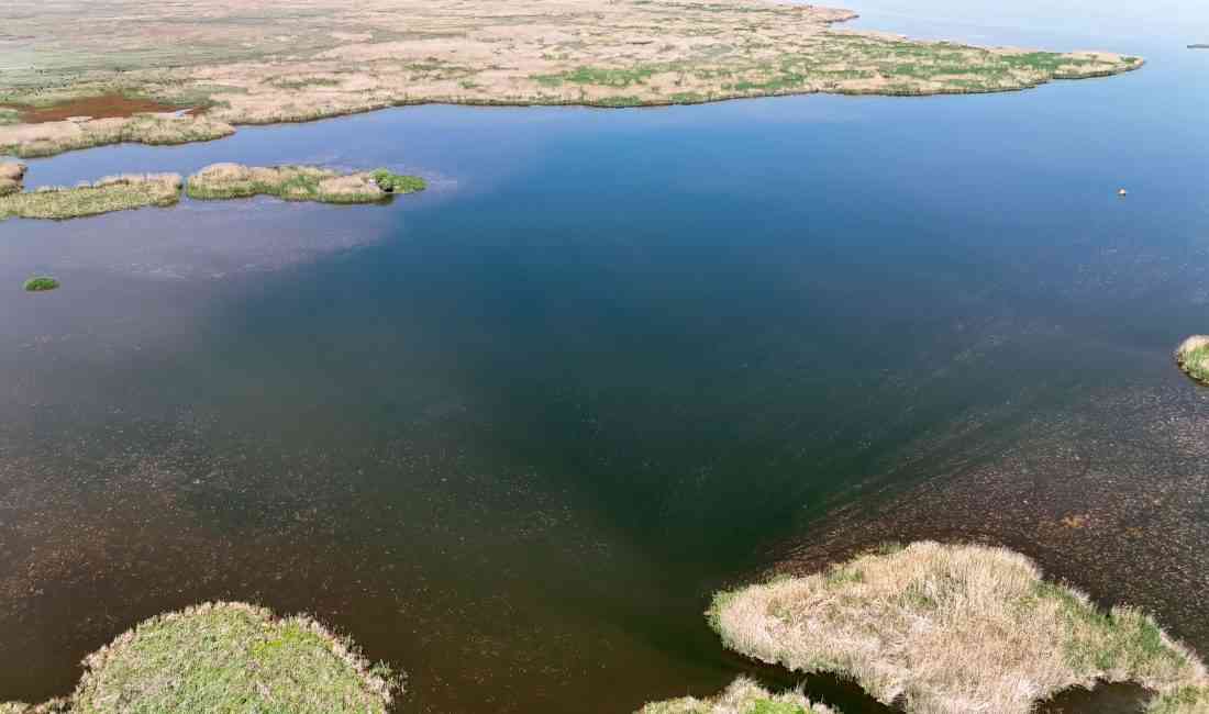 Afyon Kocatepe Üniversitesi’nden Prof. Dr. Uğur Cengiz Erişmiş, Eber Gölü’ndeki