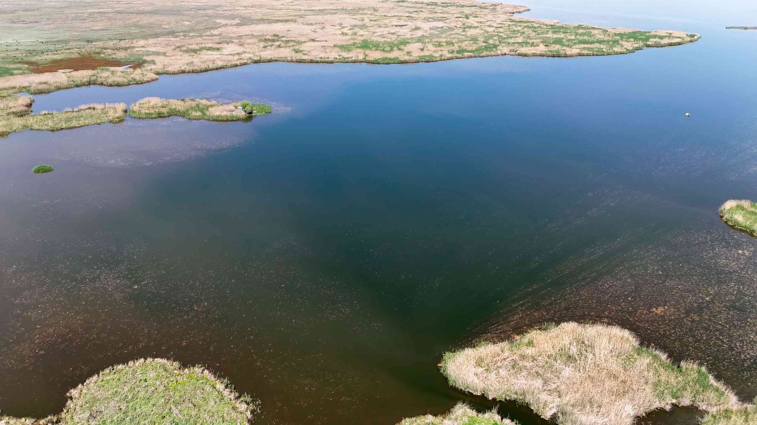 Afyon Kocatepe Üniversitesi’nden Prof. Dr. Uğur Cengiz Erişmiş, Eber Gölü’ndeki