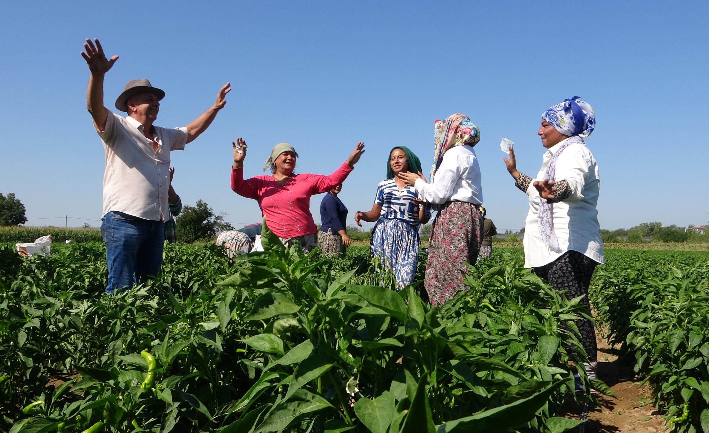 Edirne’nin meşhur tava ciğerinin yanındaki vazgeçilmez eşlikçi, Karaağaç acı biberinin