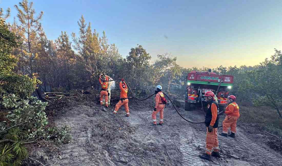 Edirne’nin Enez ilçesinin Büyükevren köyü sahilinde çıkan orman yangını, ekiplerin