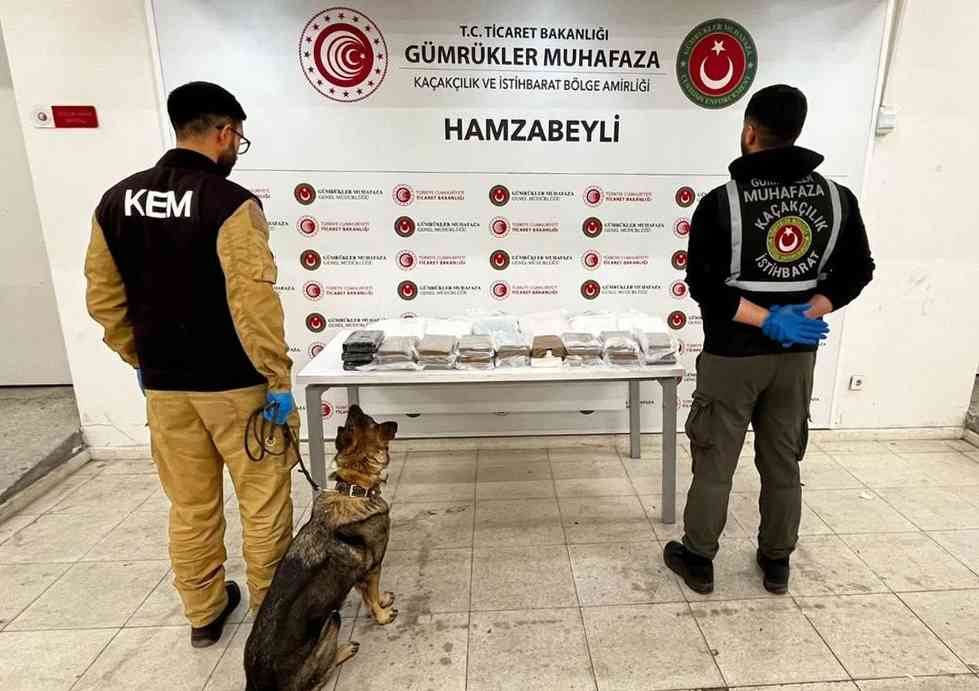 Türkiye’de 2025 yılı ocak-temmuz döneminde gümrüklerde gerçekleştirilen operasyonlarda esrar ve