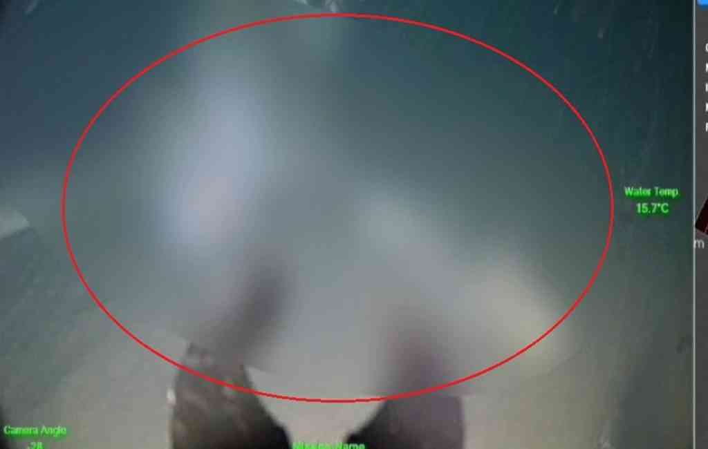 Yalova’dan Bozcaada’ya gitmek üzere denize açılan iş insanı Halit Yukay