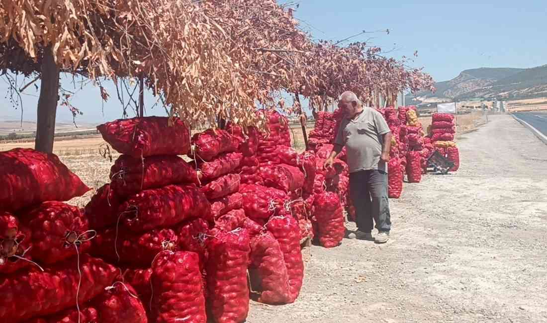 Nurdağı ilçesinde üretilen soğan, tarlada 3 liradan alıcı bulurken, tezgahlarda