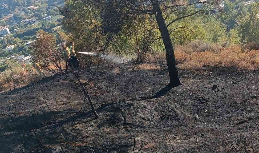 Yangın Antakya’da Kısa Sürede Kontrol Altına AlındıHatay’ın Antakya ilçesinde Kisecik