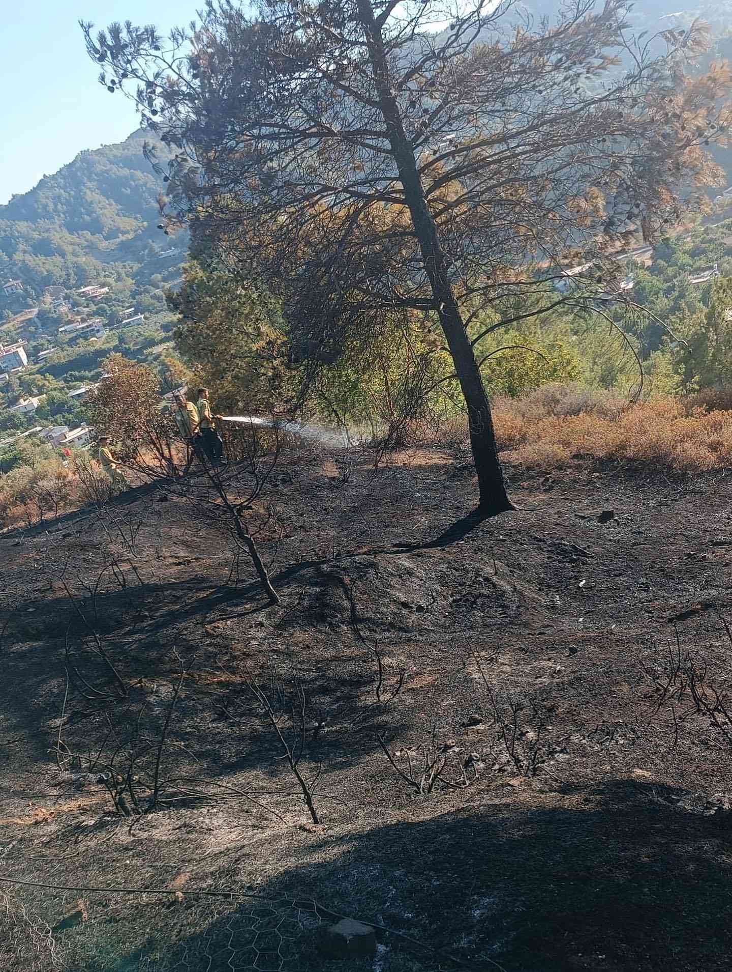 Yangın Antakya’da Kısa Sürede Kontrol Altına AlındıHatay’ın Antakya ilçesinde Kisecik