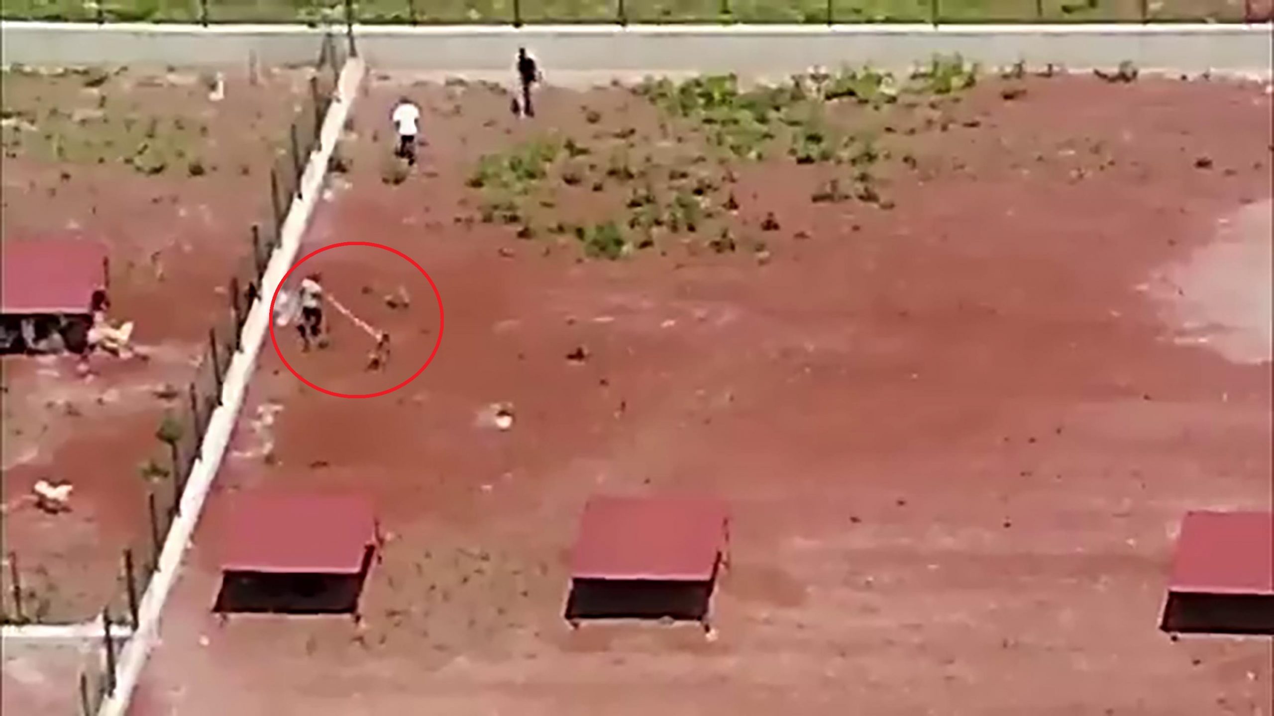 Kars Belediyesi’ne ait hayvan barınağında köpeklere uygulanan şiddet, dronla kaydedilip