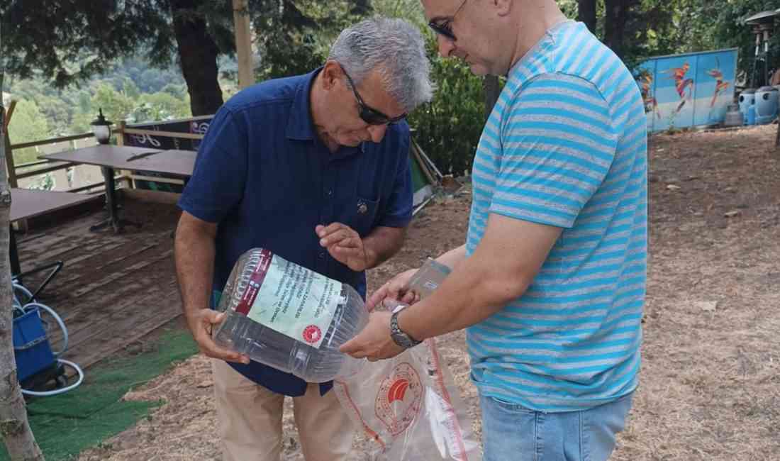 Yalova İl Tarım ve Orman Müdürlüğü, meyve ağaçlarında ciddi zararlara