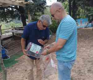 Yalova İl Tarım ve Orman Müdürlüğü, meyve ağaçlarında ciddi zararlara