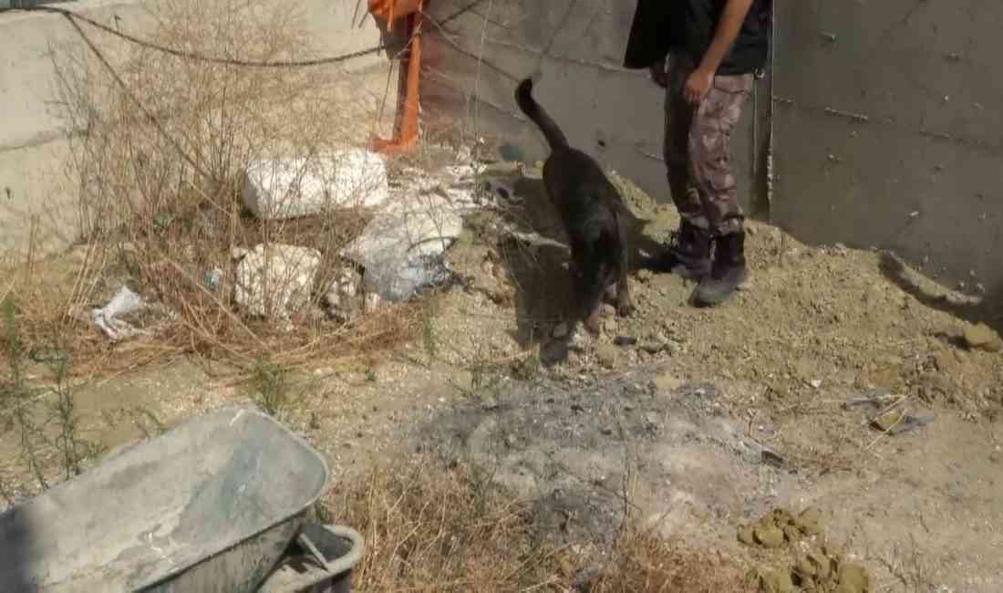 Muğla’nın Seydikemer ilçesinde Kumburgaz Mahallesi’nde bir villanın bahçesinde gömülü halde