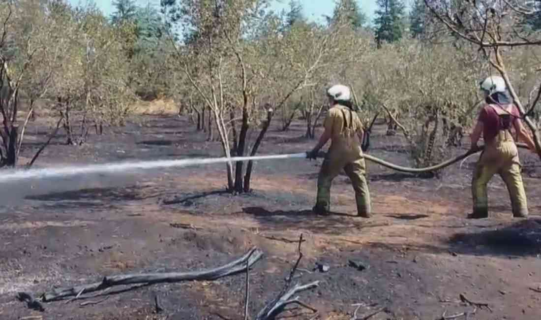 Silivri’de Çanta Mahallesi Kınalı mevkisindeki otluk alanda çıkan yangın, rüzgarın