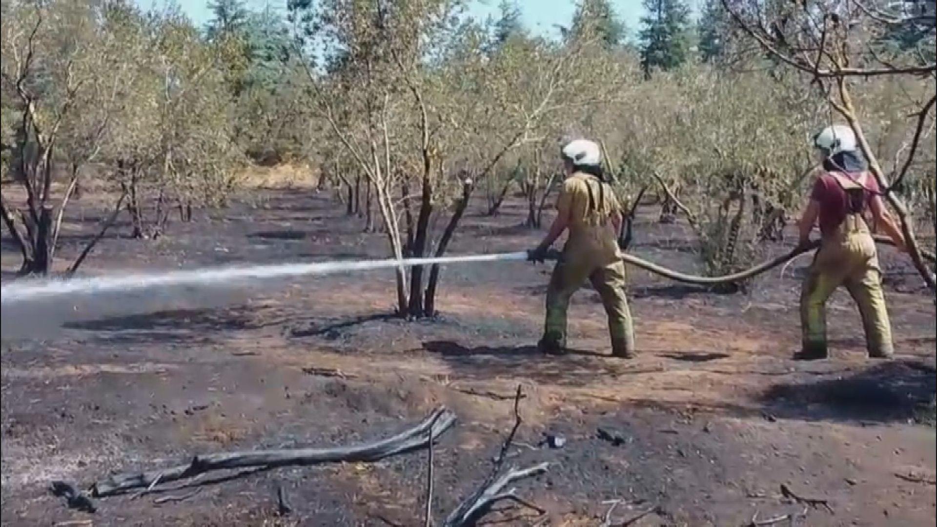 Silivri’de Çanta Mahallesi Kınalı mevkisindeki otluk alanda çıkan yangın, rüzgarın