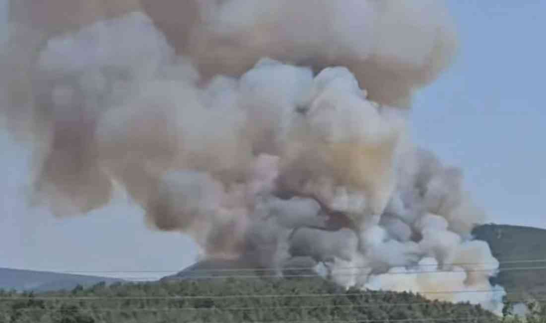 İzmir’in Menderes ilçesinde, Çile Mahallesi yakınlarındaki ormanda saat 12.30 sıralarında