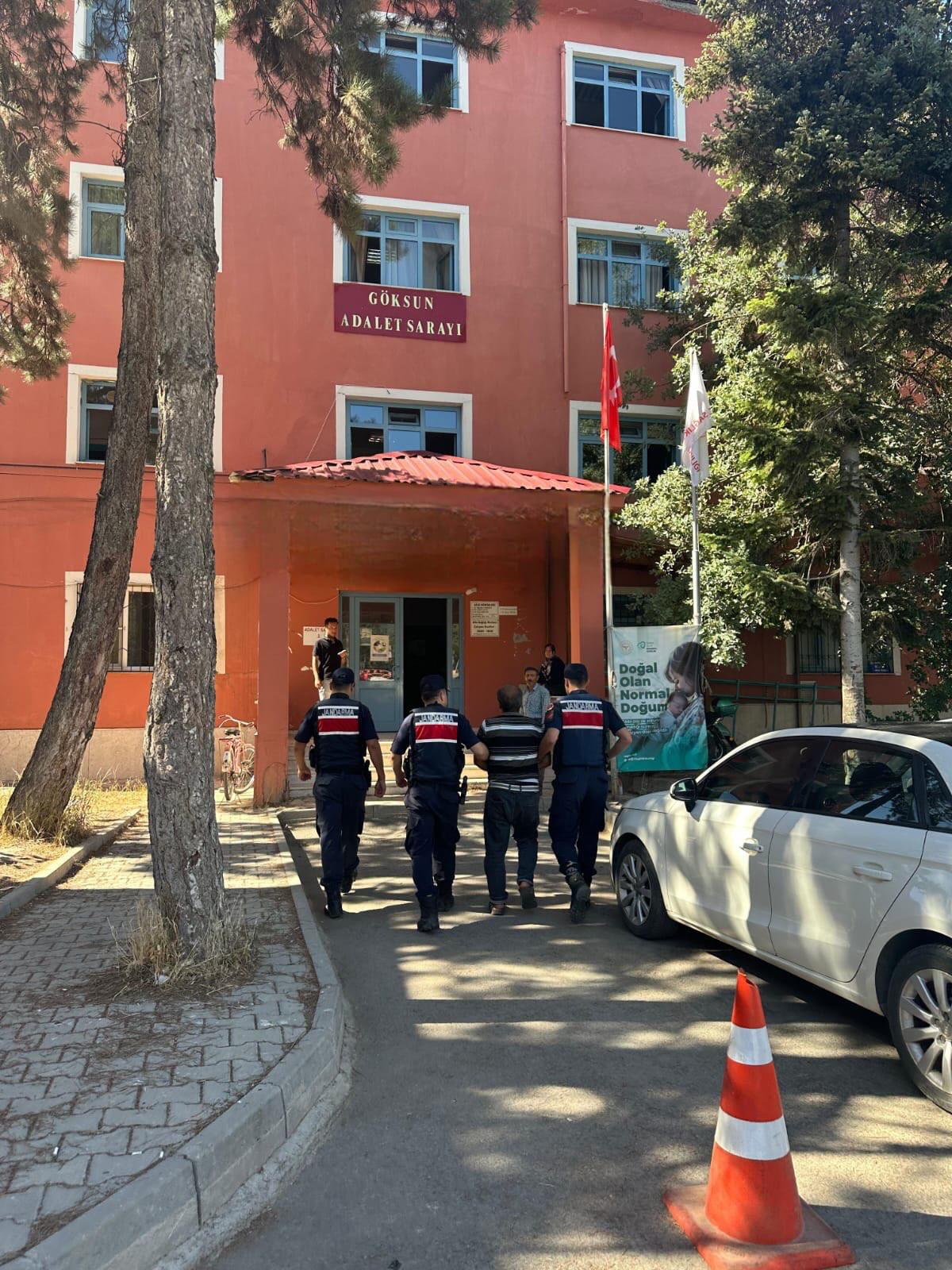 Kahramanmaraş’ın Göksun ilçesinde 80 hektarlık sedir ormanının yandığı yangının, arıcı
