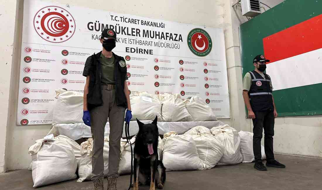 X-ray ve Dedektör Köpeklerle Yapılan Aramalarda Yüklü Miktarda Uyuşturucu YakalandıEdirne’de