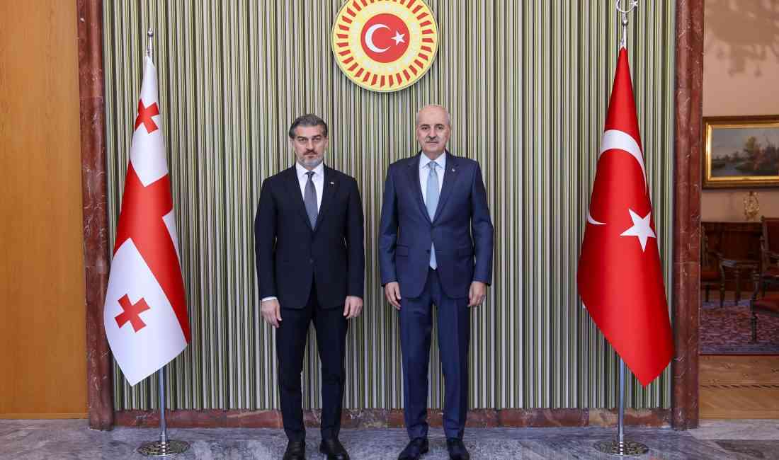 Türkiye Büyük Millet Meclisi (TBMM) Başkanı Numan Kurtulmuş, Gürcistan Cumhurbaşkanı