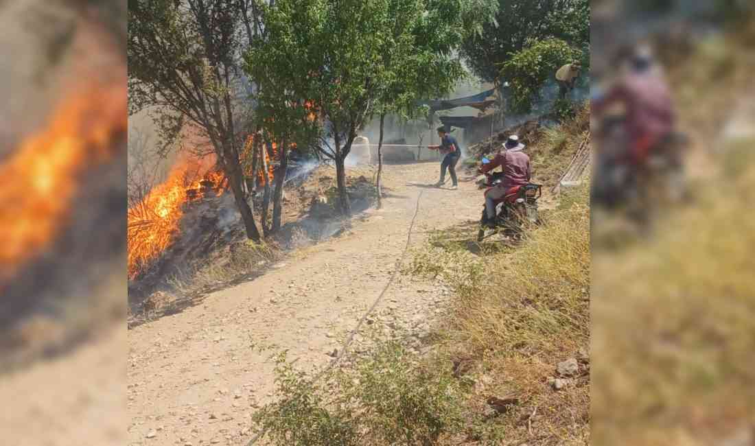 Malatya’nın Doğanyol ilçesinde, Akkent Mahallesi’nde öğle saatlerinde başlayan yangın, kısa