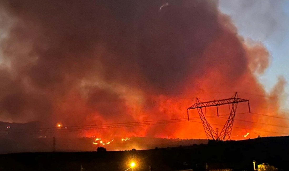 Manisa’nın Alaşehir ilçesinde, Badınca Mahallesi’ndeki bir tarlada başlayan yangın, rüzgarın