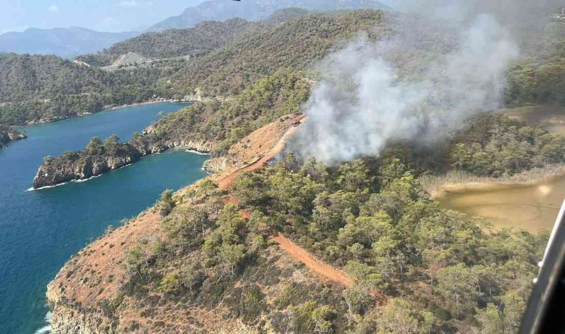 Muğla’nın Fethiye ilçesinde Katrancı Koyu yakınlarında, saat 15.30 sularında orman