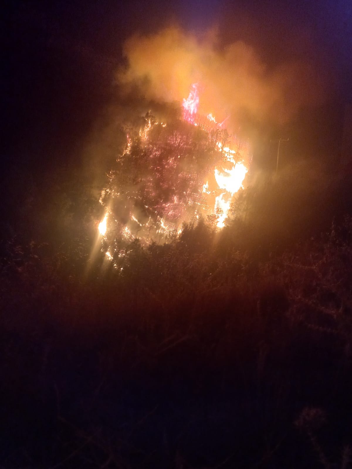 Aydın’ın Nazilli ilçesine bağlı Kahvederesi Mahallesi‘nde sabaha karşı saat 03.00’te