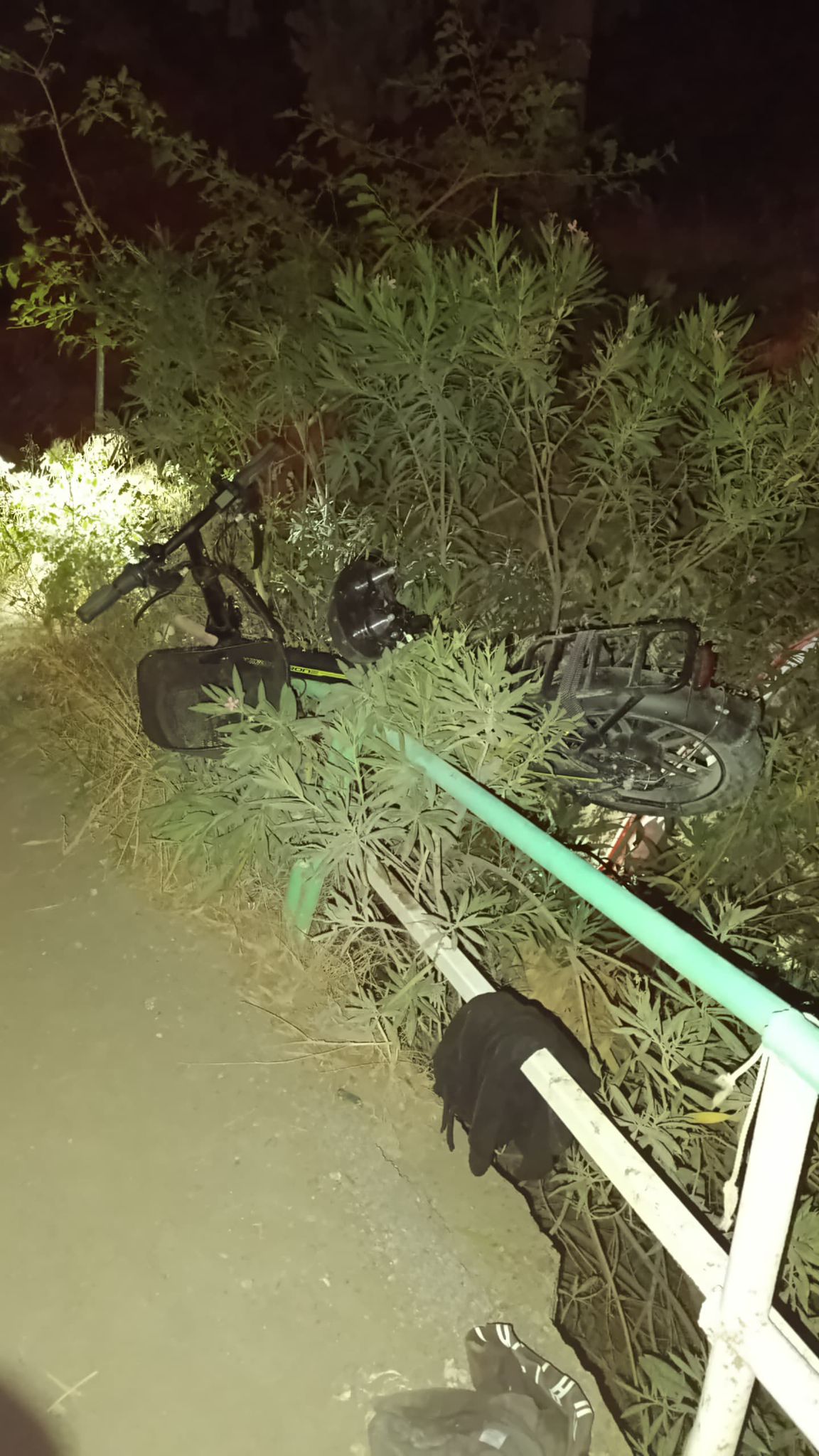 Köprüde Can Pazarı: 5 Metreden Dereye DüştülerOsmaniye’nin Haraz Mahallesi’nde gece