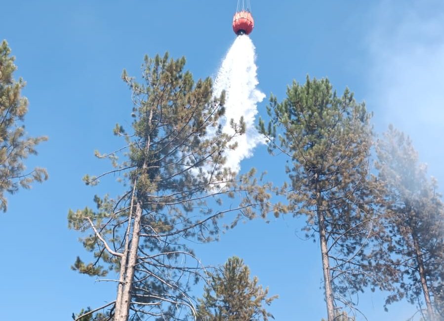 Osmaniye’nin Amanos Dağları eteklerinde Zorkun Yaylası Kuyucak mevkisinde öğle saatlerinde