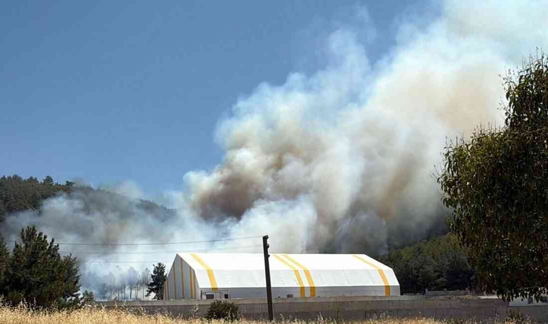 Manisa’nın Soma ilçesinde, Turgutalp Mahallesi yakınlarındaki ormanda, saat 14.00 sıralarında