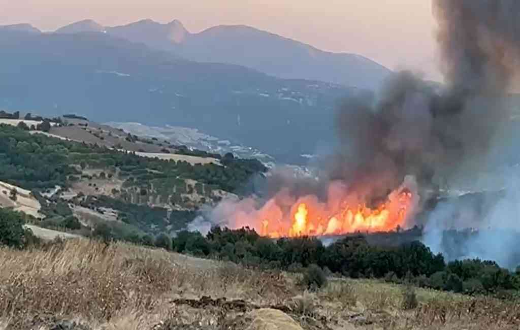 Balıkesir’in Susurluk ilçesinde, Günaydın Mahallesi yakınlarındaki ormanda çıkan yangın, ekiplerin