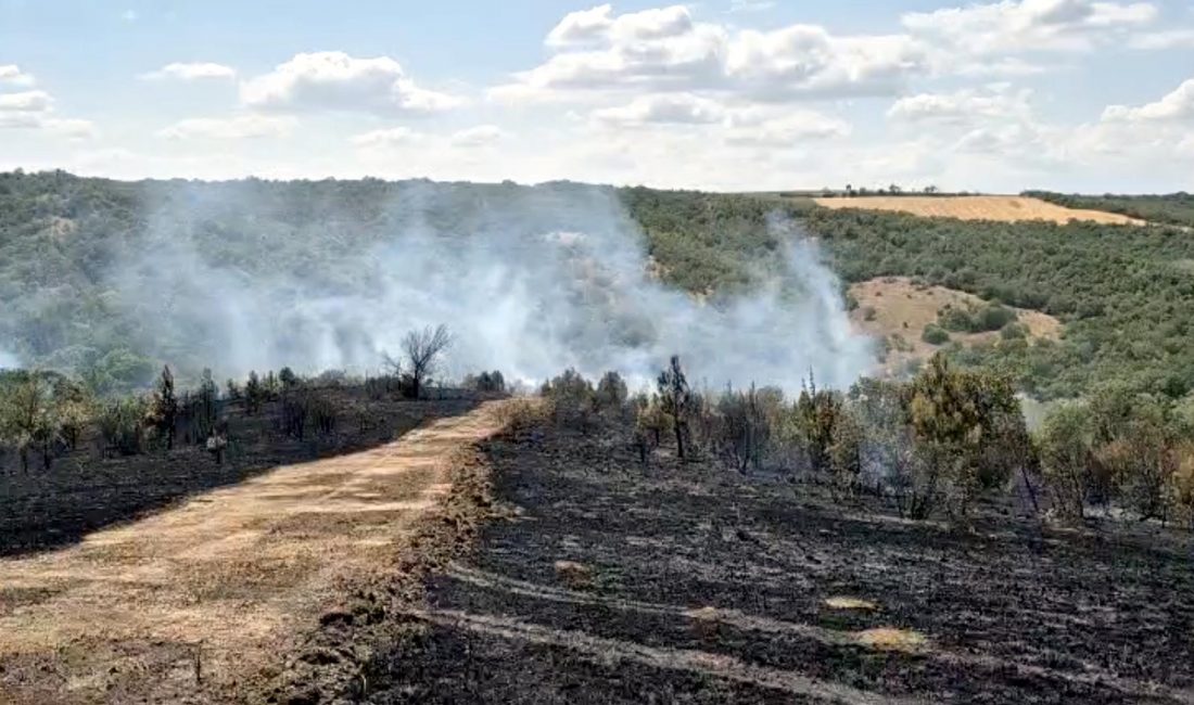 Tekirdağ’ın Süleymanpaşa ilçesinde, Ortaca Mahallesi’nde çıkan anız yangını, rüzgarın etkisiyle