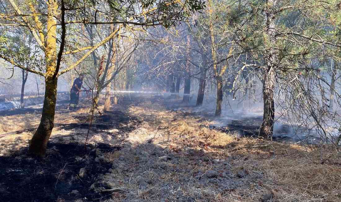 Tekirdağ’ın Çorlu ilçesinde çıkan anız yangını, 15 Temmuz Şehitler ve