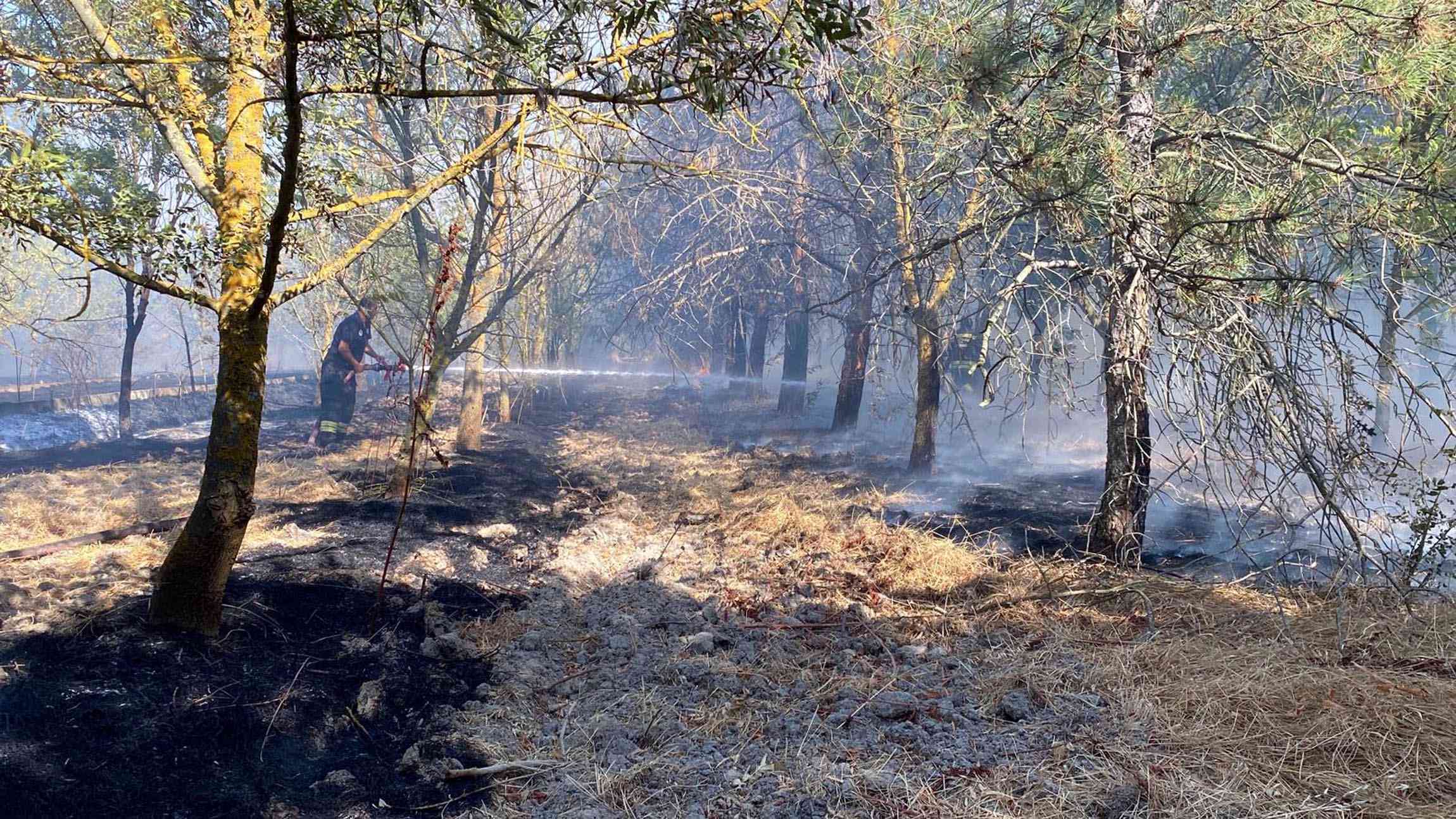 Tekirdağ’ın Çorlu ilçesinde çıkan anız yangını, 15 Temmuz Şehitler ve