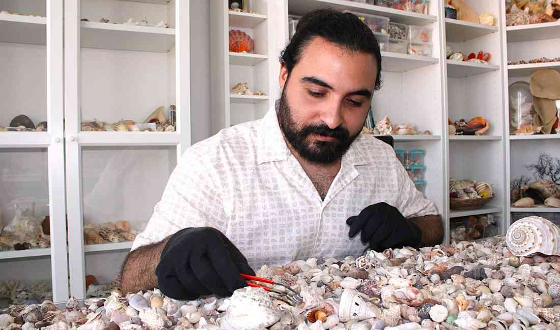 Malatya’da çocukluğundan itibaren deniz kabuklarına büyük bir ilgi duyan inşaat