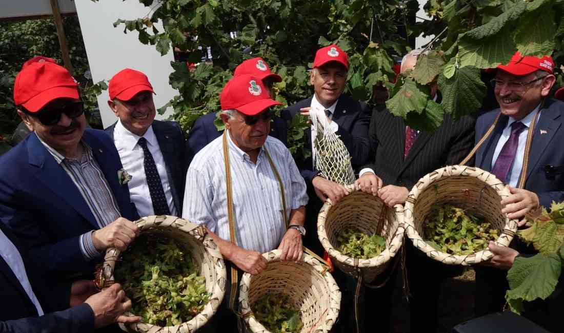 Doğu Karadeniz’in önemli tarım ürünlerinden biri olan fındığın hasat zamanı