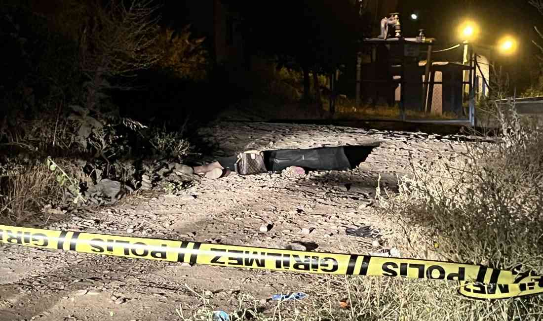 Efeler’de Üzücü Olay: Genç Kadın Başından Vurulmuş Halde Ölü BulunduAydın’ın