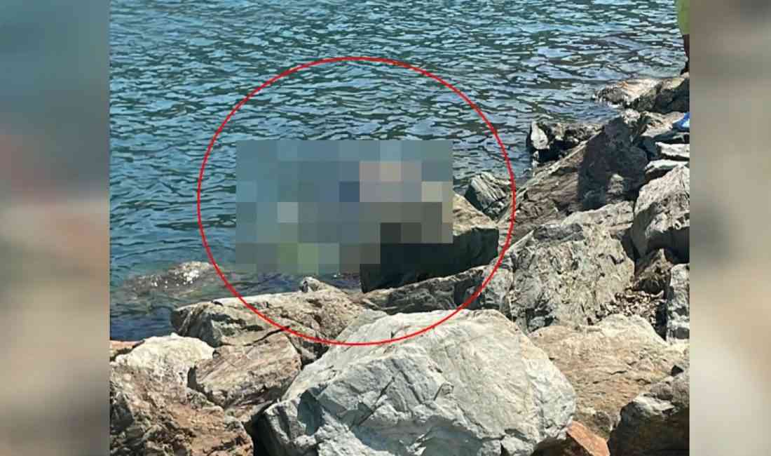 Denize Girdikten Sonra Gözden Kayboldu Yalova’nın Çınarcık ilçesinde, 72 yaşındaki