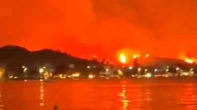 Yunanistan’ın Ahaia, Sakız Adası ve Epir bölgelerinde etkili olan orman