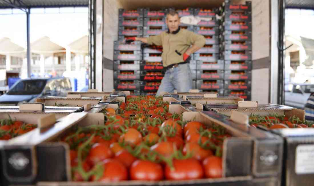 Ukrayna’nın Türk menşeli domates ve salatalık ithalatına karşı aldığı anti-damping