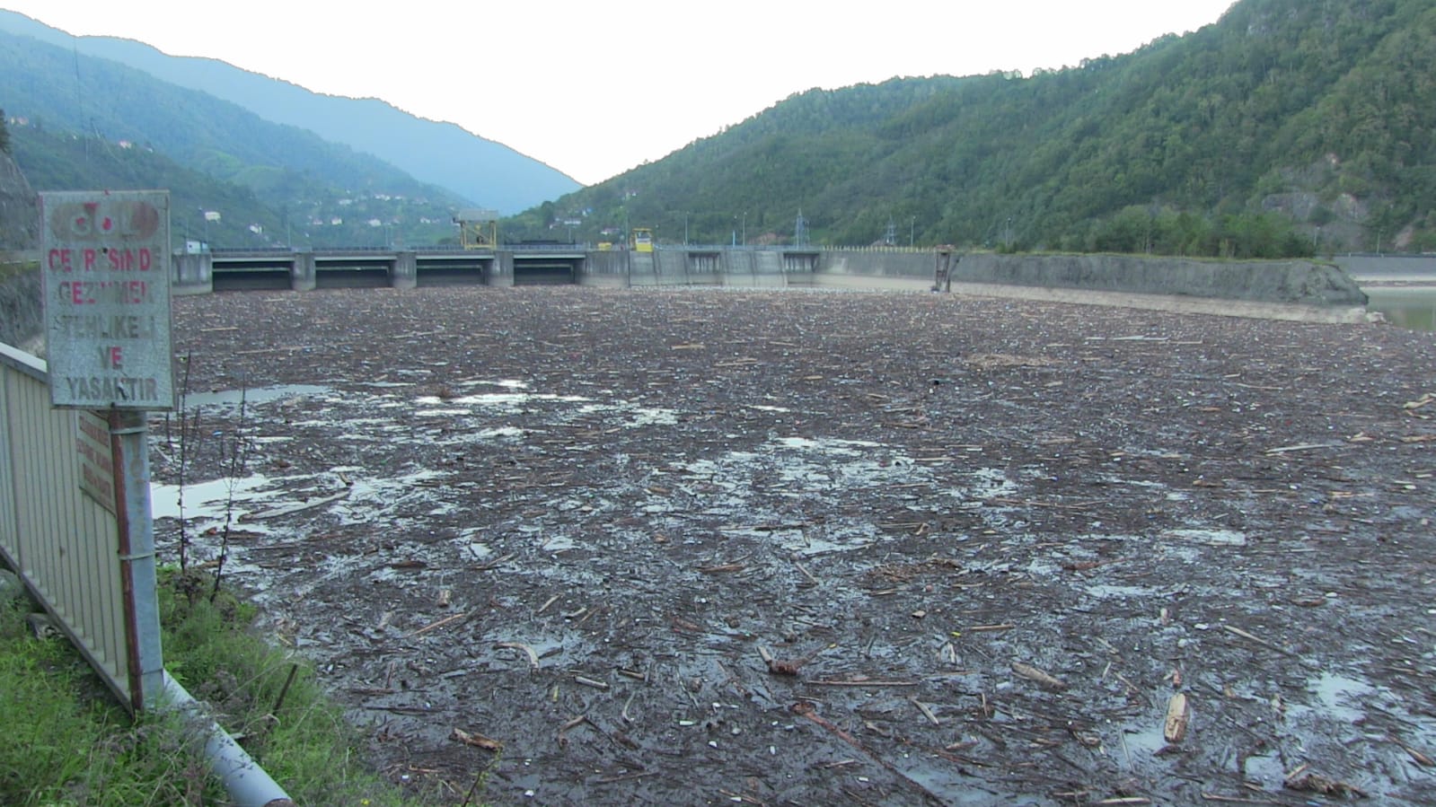 Artvin’in Borçka ilçesinde etkili olan sel ve heyelanların ardından derelerin