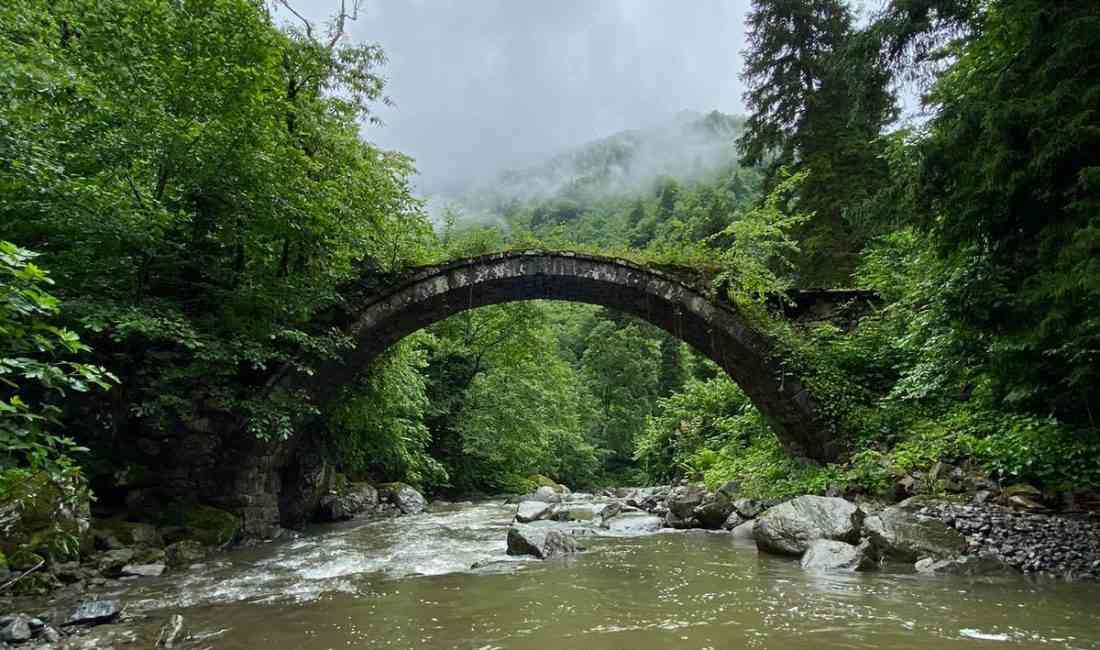 Artvin’in Borçka ilçesinde etkili olan sağanak sonrası Klaskur Deresi üzerindeki