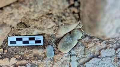 Kültür ve Turizm Bakanı Mehmet Nuri Ersoy, Batı Anadolu’nun en