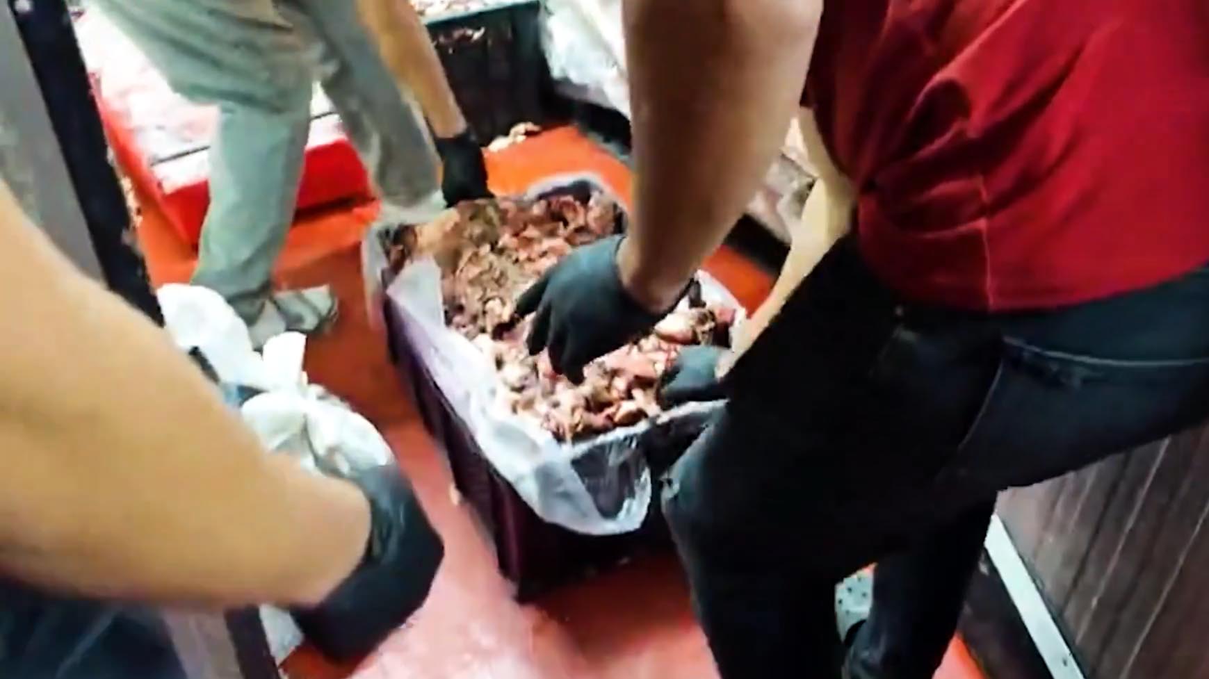Tarım ve Orman Bakanlığı, Ankara’da yapılan gıda denetimlerinde 11 bin