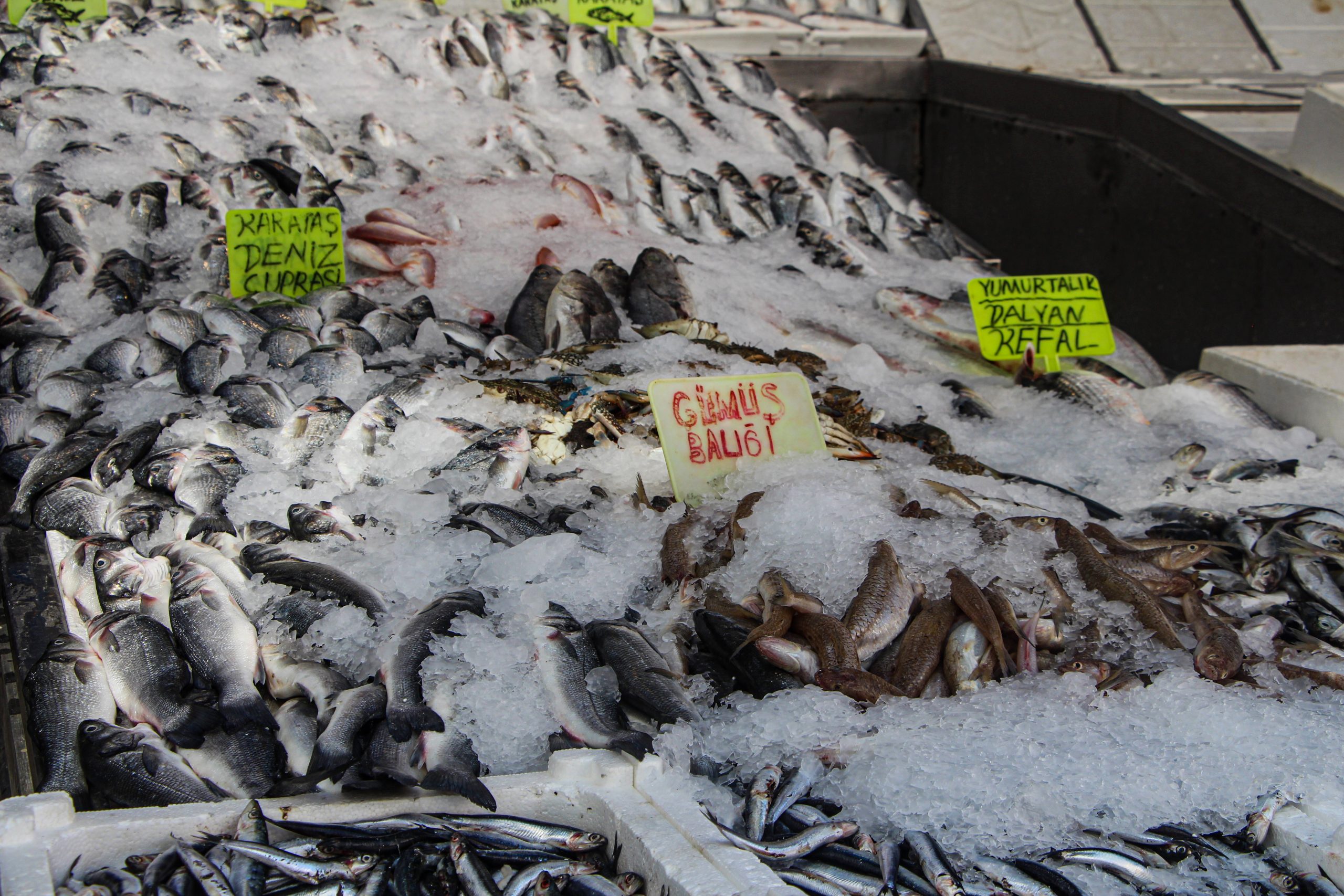 Adana’da 15 Nisan’da başlayan av yasağının 1 Eylül itibarıyla sona