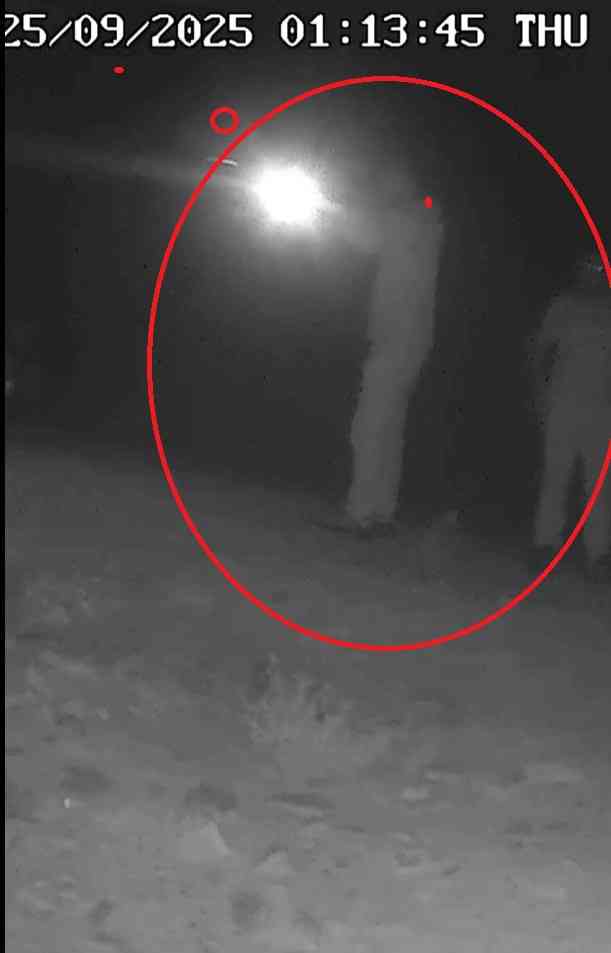 Bartın’ın Ulus ilçesinde fotokapan çalışmaları sırasında yasa dışı avcılık yapan