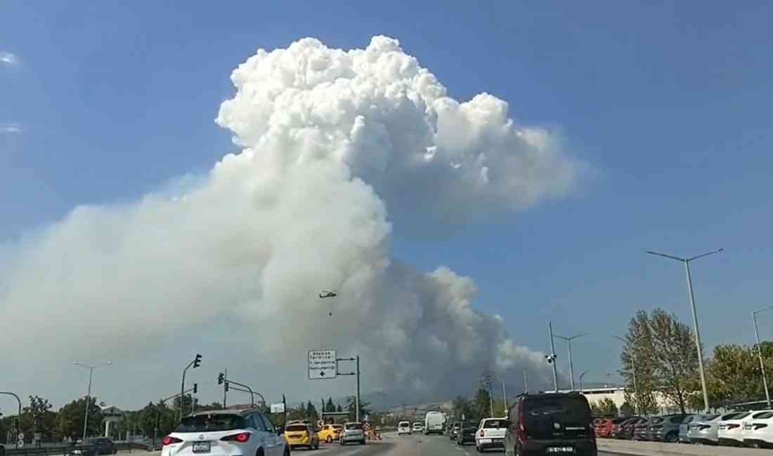 Bursa’nın Osmangazi ilçesinde, Gündoğdu Mahallesi yakınlarında öğle saatlerinde çıkan orman