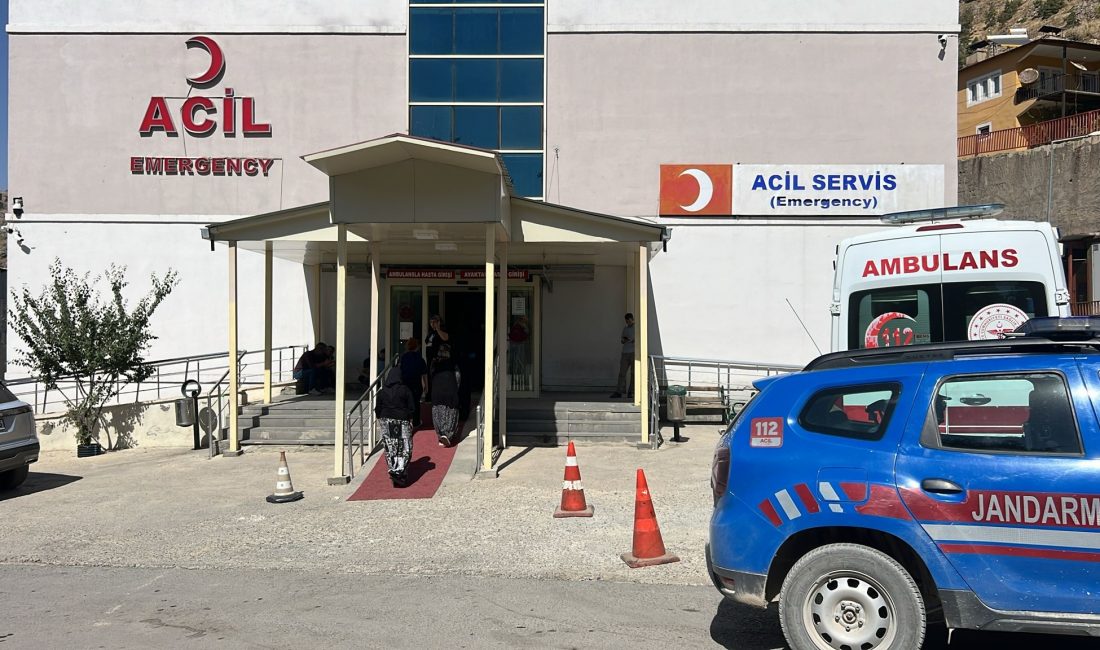 Hakkari’de Ceviz Toplarken Ağaçtan Düşen Yaşlı Adam Hayatını Kaybetti Hakkari’nin Çukurca ilçesinde ceviz toplamak için ağaca çıkan 70 yaşındaki