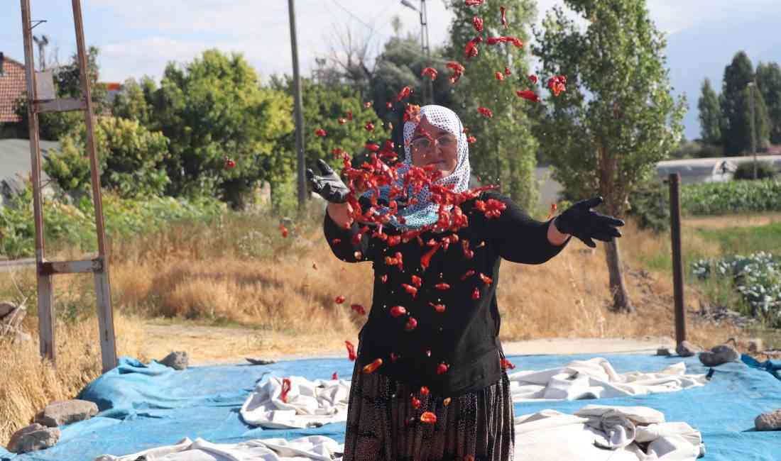 Kayseri’nin Kocasinan ilçesi Cırgalan Mahallesi’nde üretilen coğrafi işaretli Cırgalan biberinde