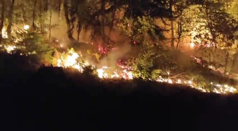 Düzce’nin Yığılca ilçesinde, akşam saatlerinde çıkan orman yangını, ekiplerin 2