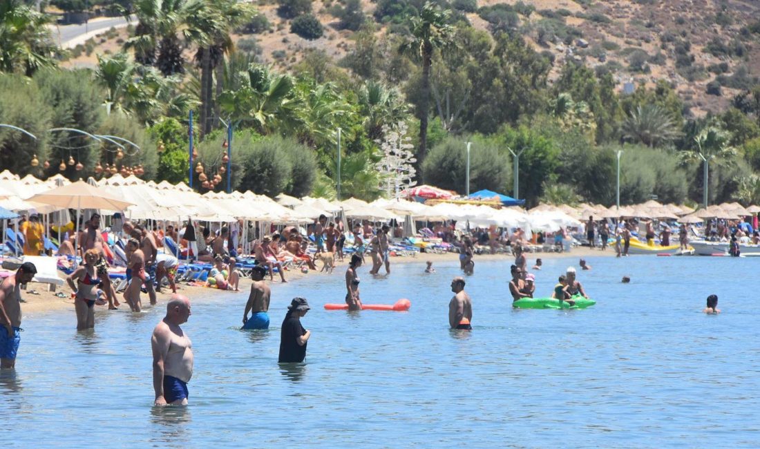 Muğla Sıtkı Koçman Üniversitesi (MSKÜ) Bodrum Denizcilik Meslek Yüksekokulu Müdürü
